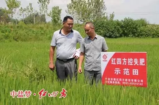 走在田間地頭，當地經銷商深發感觸