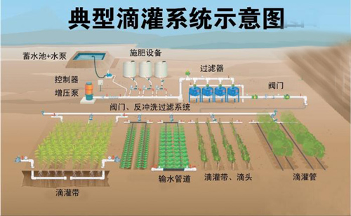 典型滴灌系統示意圖